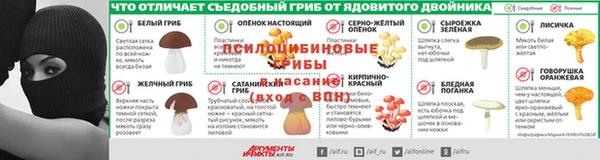 прущие грибы Сковородино